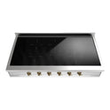 ILVE UHCPI486NSSG Nostalgie II 48 inch Built-In Induction Rangetop with 6 Elements, Stainless Steel (Brass)
