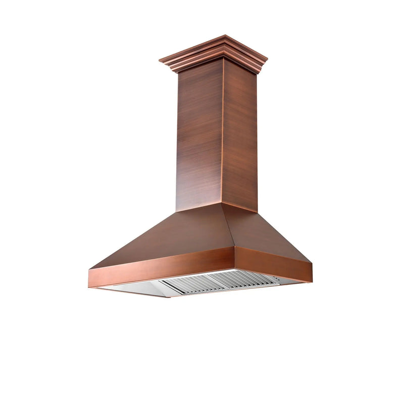 ZLINE 48" Designer Series Ducted Wall Mount Range Hood (8667C-48) Zline