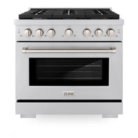 ZLINE 36 in. 5.2 cu. ft. Paramount Gas Range with 6 Burner Cooktop and Convection Gas Oven in Stainless Steel