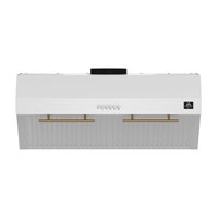 Forno Bari 30-Inch Espresso 400 CFM Under Cabinet Range Hood in White with Antique Brass Trim