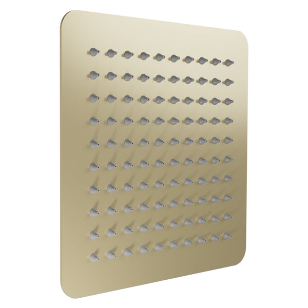 Cabezal de ducha ZLINE Bliss de 8 pulgadas en bronce champán (BLS-H8-CB)