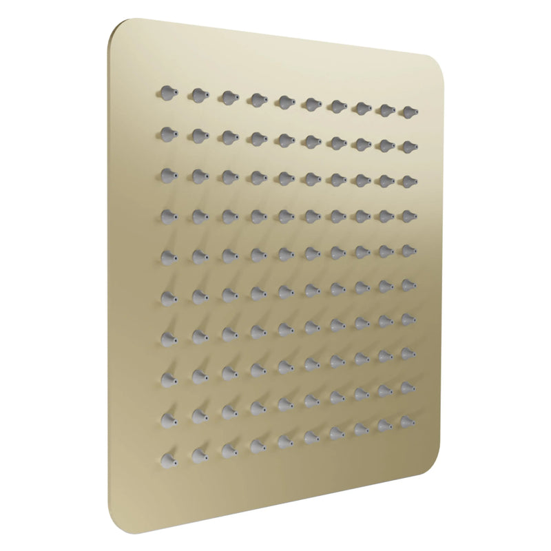 ZLINE Bliss 8 In. Shower Head in Champagne Bronze (BLS-H8-CB) Zline