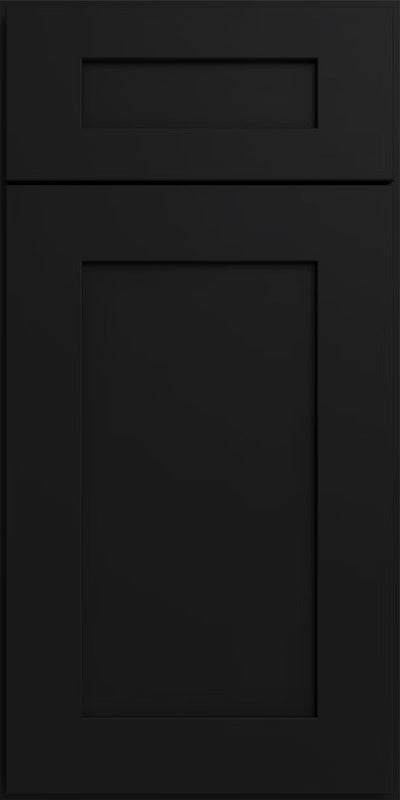 Matte Black Shaker door sample
